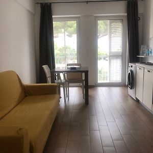 Appartamento studio